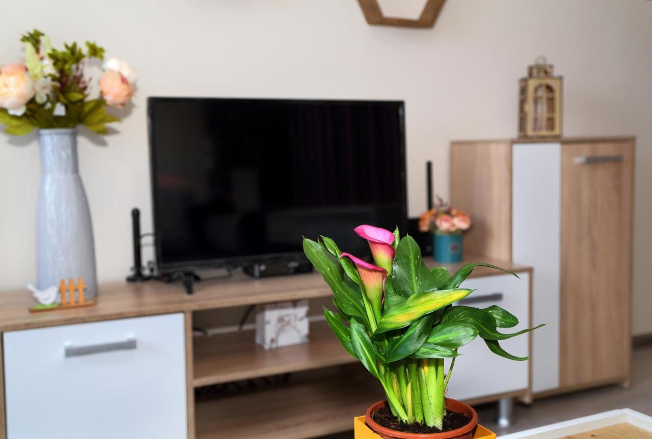 Apartment Colibri Veliko Tărnovo Exteriör bild
